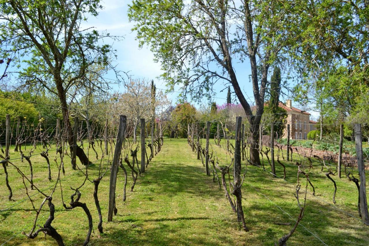 Chambre D'Hote Au Domaine Terre De Chenes Saint-Paul-de-Baise Εξωτερικό φωτογραφία