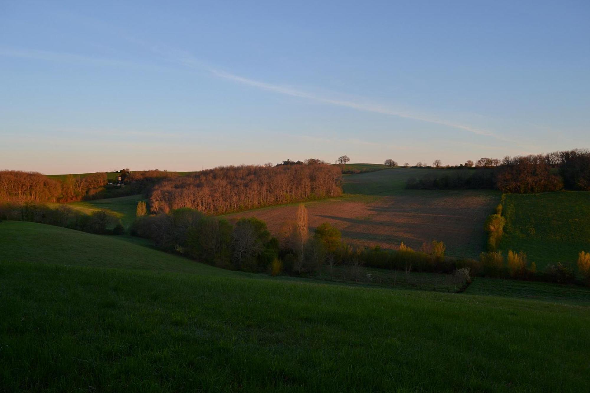 Chambre D'Hote Au Domaine Terre De Chenes Saint-Paul-de-Baise Εξωτερικό φωτογραφία